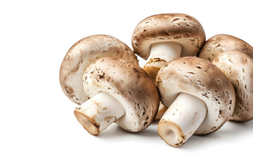 Organic mushrooms isolated on white background showcasing their earthy texture and flavors.