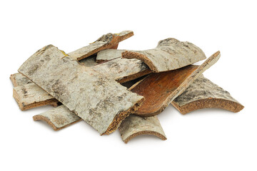 piece of aspen bark isolated on white background.