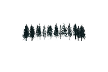 A minimalist forest scene where the dark green straight trees stand tall and perfectly aligned in a blanket of snow. The white background emphasizes the silhouette of each tree
