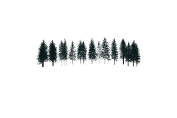 A minimalist forest scene where the dark green straight trees stand tall and perfectly aligned in a blanket of snow. The white background emphasizes the silhouette of each tree