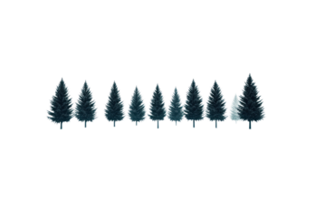 A minimalist forest scene where the dark green straight trees stand tall and perfectly aligned in a blanket of snow. The white background emphasizes the silhouette of each tree