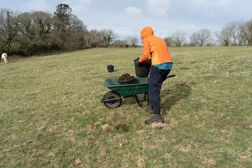 Woman in an orange top filling a wheelbarrow with buckets of horse poo in a field with a palomino...