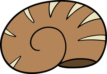 Illustration of sea shell

