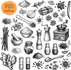 Spices and seasonings big collection