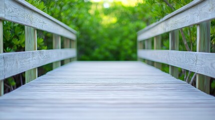 A wooden walkway leads through lush greenery, creating a serene and inviting atmosphere in nature.