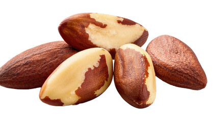 Brazil nuts Isolated On PNG Transparent and White Background 