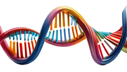 DNA Isolated On PNG Transparent and White Background 