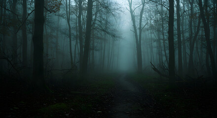 Obraz premium Mystical Fog-Shrouded Forest Path