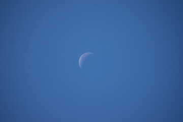 moon in the sky