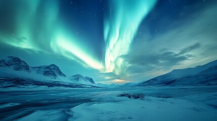 Naklejka premium The Northern Lights dancing over a frozen rice field in winter