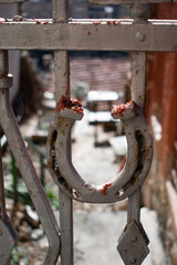Rusty Horseshoe Hanging on a Metal Gate