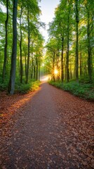 Fototapeta premium Sunlit Forest Path Surrounded by Autumn Leaves Nature Walk Vibrant Landscape Tranquil Environment Serene Viewpoint