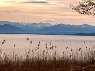 Abendstimmung am Starnberger See - Blick in Richtung Süden