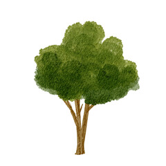 Detailed illustration of a lush green tree in a simple artistic style showcasing its texture and shape