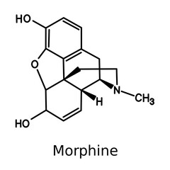 Fototapeta premium Chemical structure of morphine
