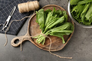Bunch of fresh sorrel, scissors and twine on grey table, flat lay