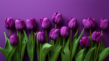 A row of purple flowers with green stems. The flowers are arranged in a line and are purple in color