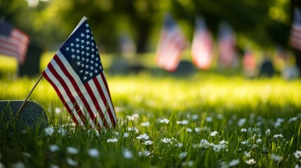 American Flag on Memorial Site with Daisies and Green Grass