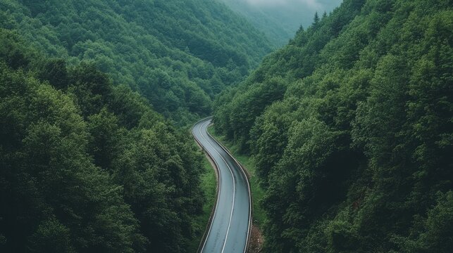 A curved bridge over a deep valley with green forests spreading on both sides.