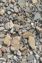 pebbles on the beach