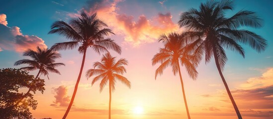 Fototapeta premium Silhouetted Palm Trees at Sunset on a Tropical Beach