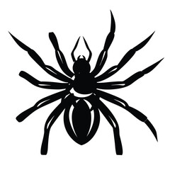vector emage of spaider silhoette vector
