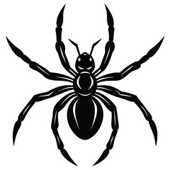 Obraz premium vector emage of spaider silhoette vector