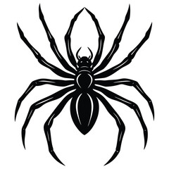 vector emage of spaider silhoette vector