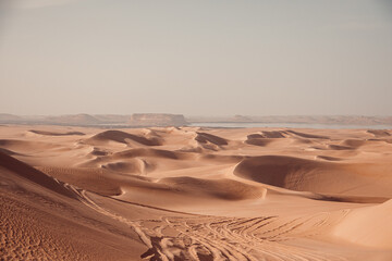 The dunes of the Sahara