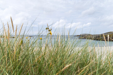 A beach in Norway with a grassy area in front of it