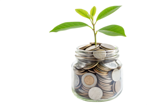 Plant growing from coins inside a glass jar symbolizing investment and financial growth concept idea  isolated on transparent or white background, png