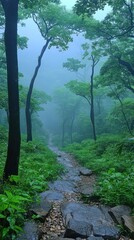 Fototapeta premium Misty forest path