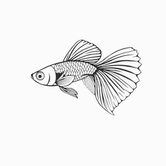 Fototapeta premium fish on a white background