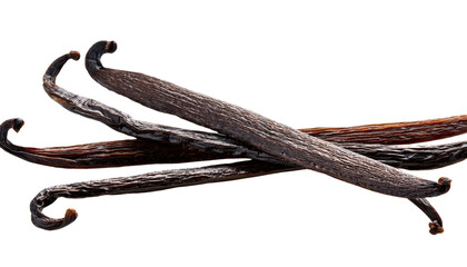 Vanilla bean Isolated On PNG Transparent and White Background 