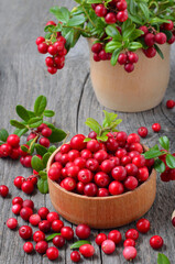 Ripe cowberry in wooden bowl