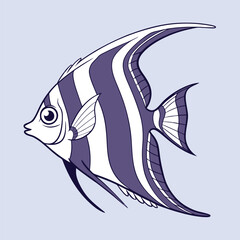 marine fish:Velvet Angelfish vector Artwork