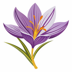 Saffron white background 