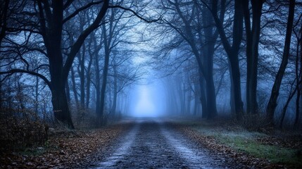 A misty pathway leads through a dark and eerie forest