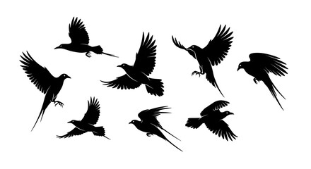Black silhouettes of flying birds in motion