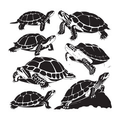 sea turtle vector illustration