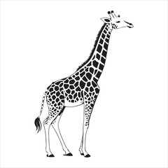 Giraffe Vector