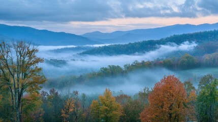 Fototapeta premium A Beautiful Foggy Mountain Landscape Displays Autumnal Colors Well