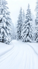 Obraz premium Snow-covered path winding through a snowy evergreen forest