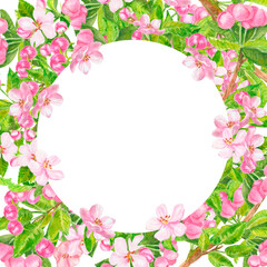 Pink cherry flowers, leaves and buds watercolor floral wreath isolated on white. Blooming tree round frame hand drawn with copy space for greeting cards.