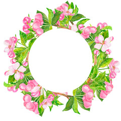 Watercolor cherry flowers, leaves and buds floral wreath isolated on white. Blooming tree round frame hand drawn with copy space for greeting cards.