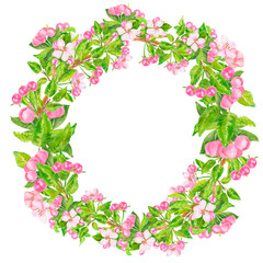 Pink apple flowers, leaves and buds watercolor floral wreath isolated on white. Blooming tree round frame hand drawn with copy space for greeting cards. Cherry blossoms in botanical sketch style