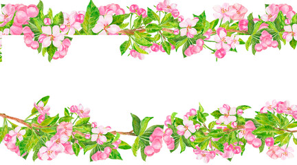Watercolor pink spring apple flowers, buds and leaves floral frame. Rectangular border with copy space isolated on white. Sakura, cherry, almond, pear, peach flower.