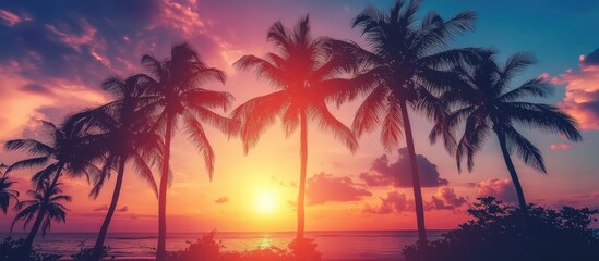 Tropical Sunset: Silhouetted Palm Trees on a Pink and Orange Beach