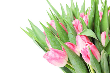 Bouquet of beautiful pink tulips isolated on white