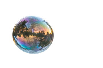 soap bubble isolated on transparent background